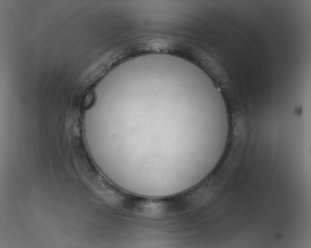 X0000116670313200912291704