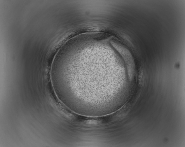 X0000116670314200912291704