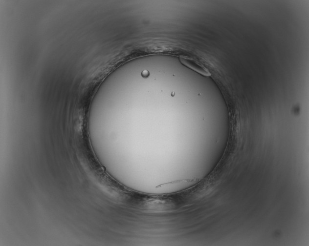 X0000116670315200912291704