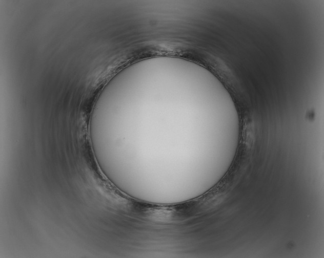 X0000116670318200912291704