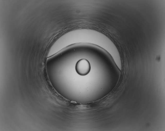 X0000116670320200912291704