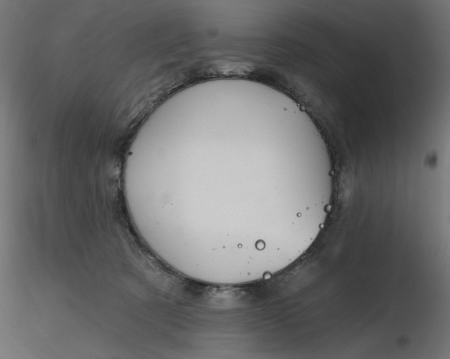 X0000116670321200912291704