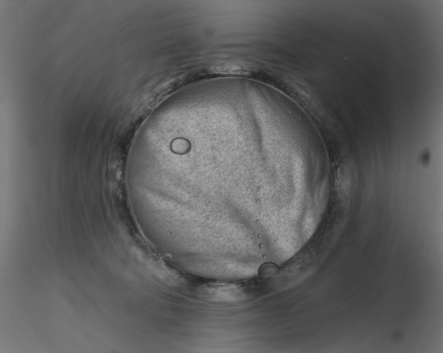 X0000116670322200912291704