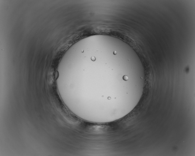 X0000116670323200912291703