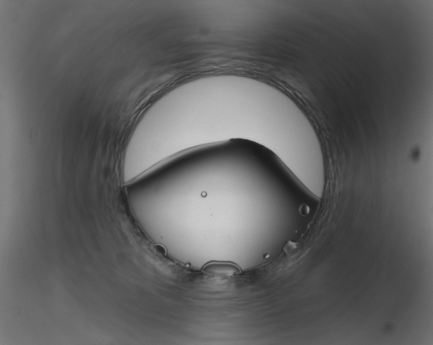 X0000116670325200912291703