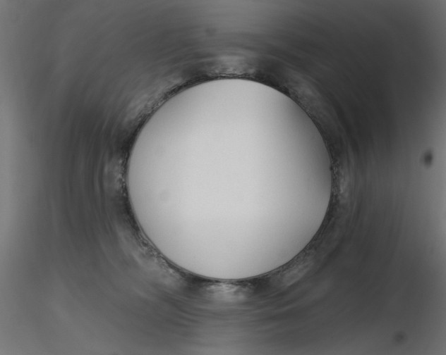 X0000116670326200912291703