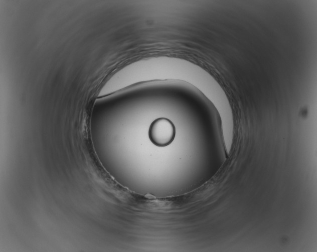 X0000116670328200912291703