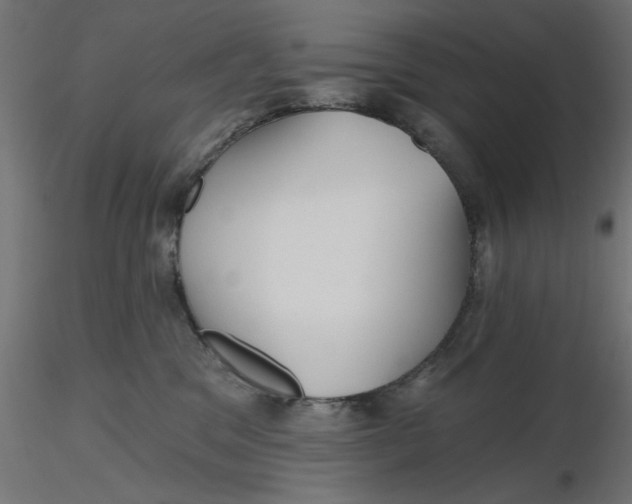 X0000116670329200912291703