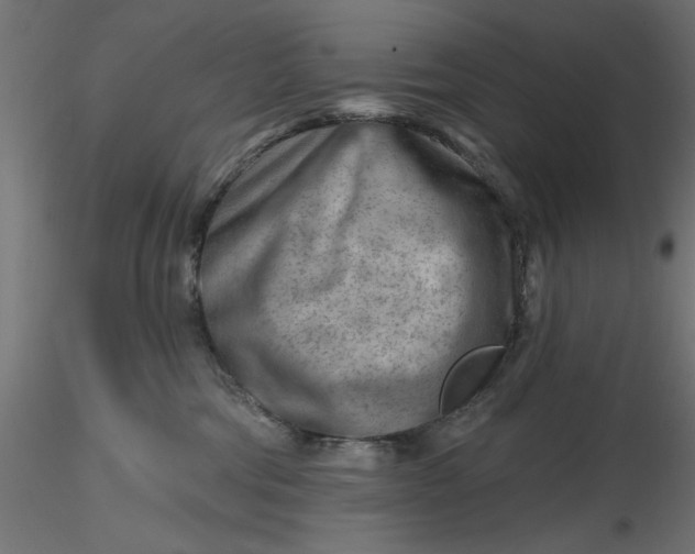 X0000116670330200912291703