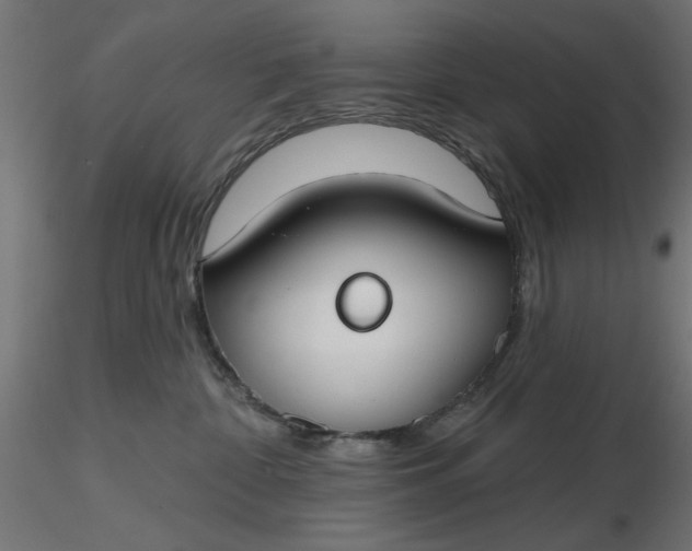 X0000116670332200912291703