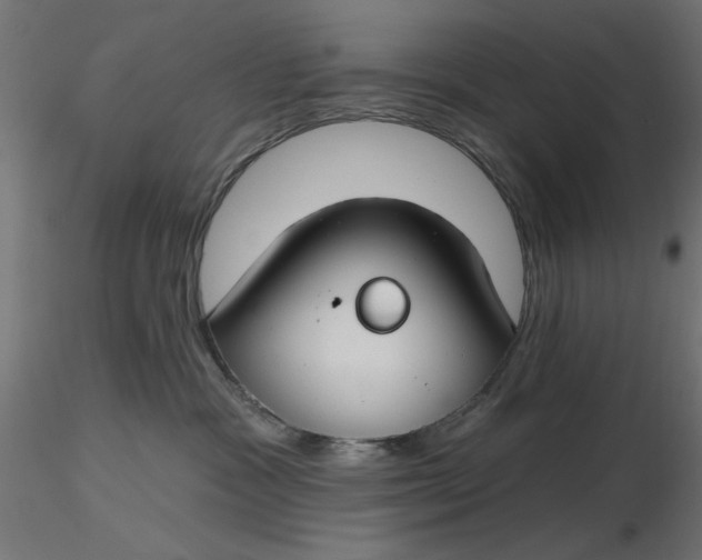 X0000116670333200912291703