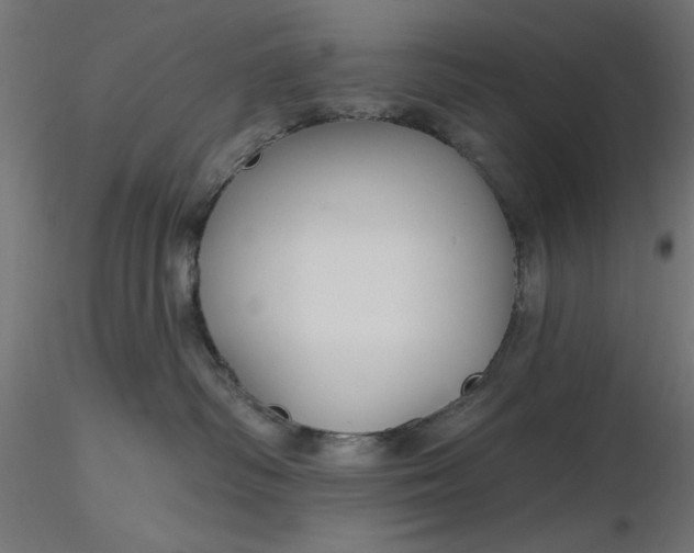 X0000116670334200912291703