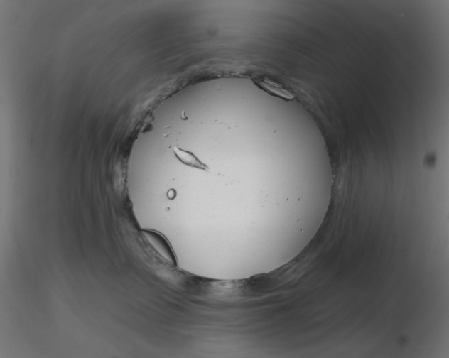 X0000116670335200912291703