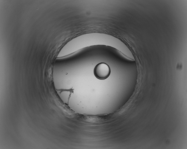 X0000116670336200912291703