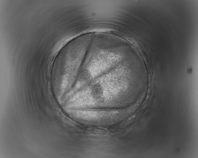 X0000116670337200912291703