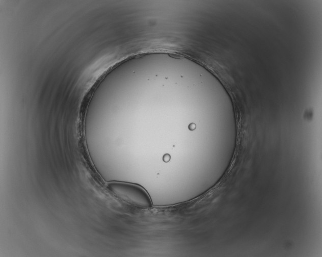 X0000116670338200912291703