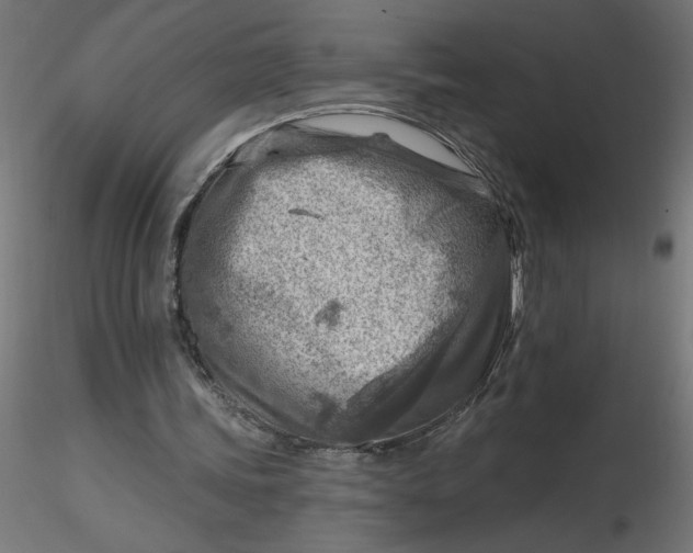 X0000116670339200912291703