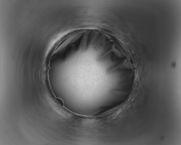 X0000116670342200912291703