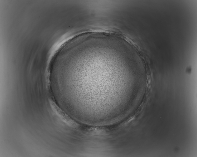 X0000116670343200912291703