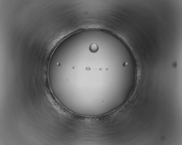 X0000116670345200912291703