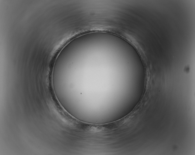 X0000116670346200912291703