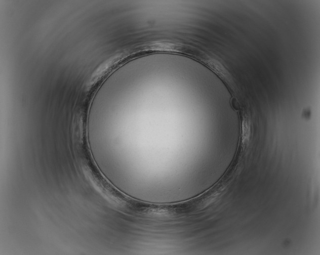 X0000116670349200912291703