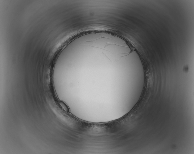 X0000116670350200912291703