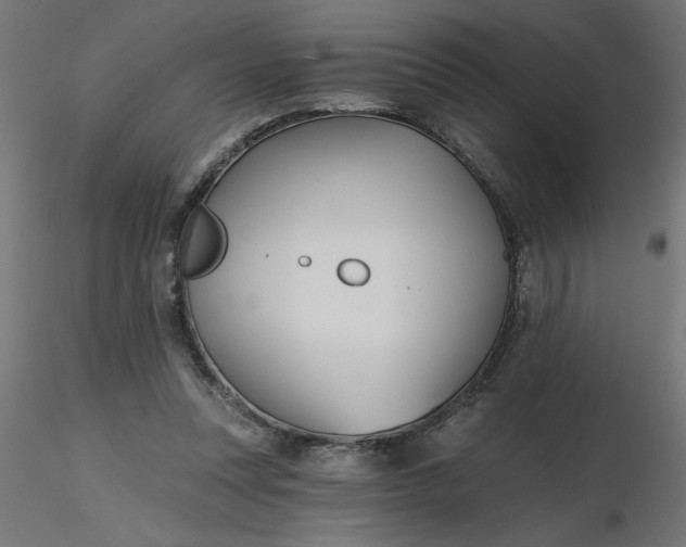 X0000116670351200912291703