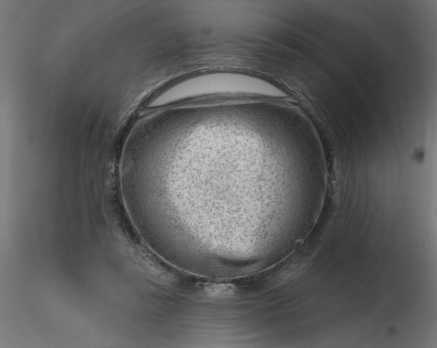 X0000116670355200912291703