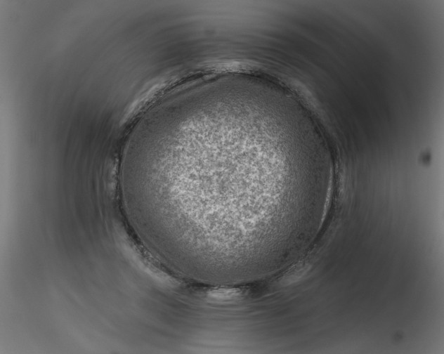 X0000116670357200912291703