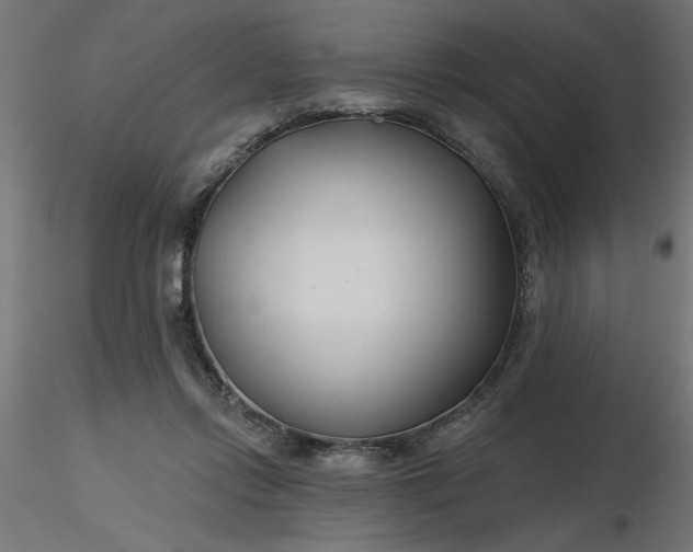 X0000116670358200912291703