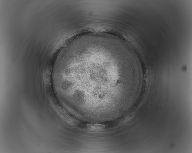 X0000116670359200912291703