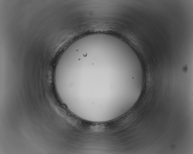 X0000116670362200912291703