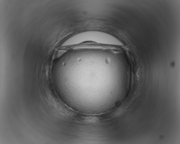 X0000116670363200912291703