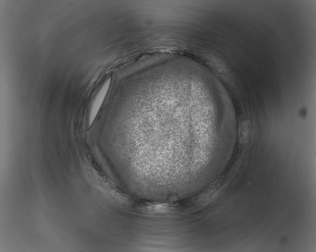 X0000116670365200912291703