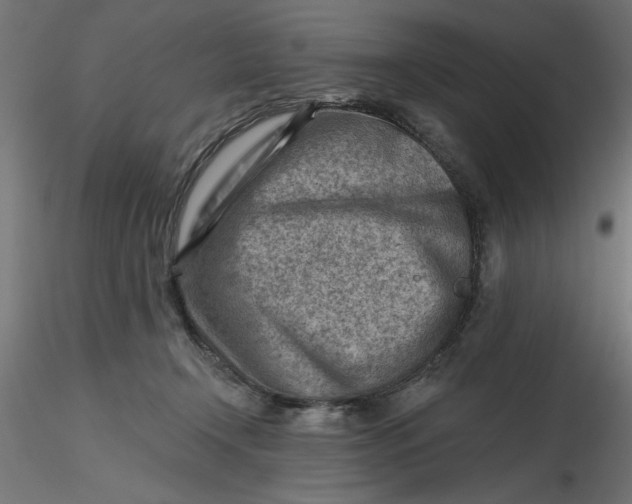 X0000116670366200912291703