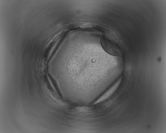 X0000116670367200912291703