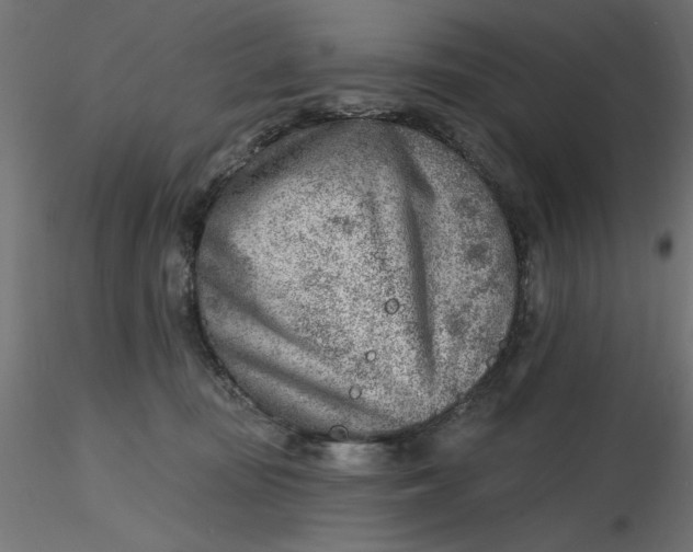 X0000116670371200912291703