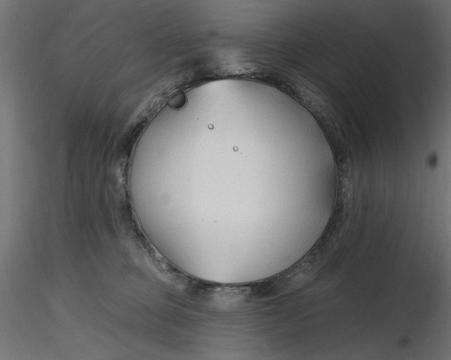 X0000116670373200912291703