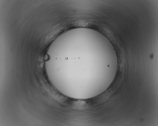 X0000116670374200912291703