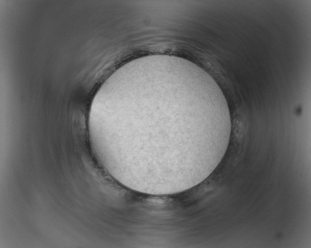 X0000116670375200912291703