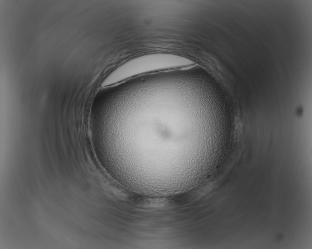 X0000116670377200912291703