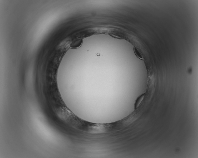 X0000116670381200912291703