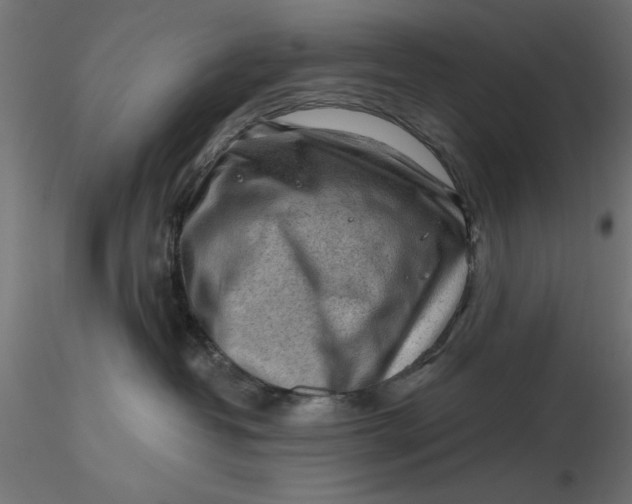 X0000116670382200912291703