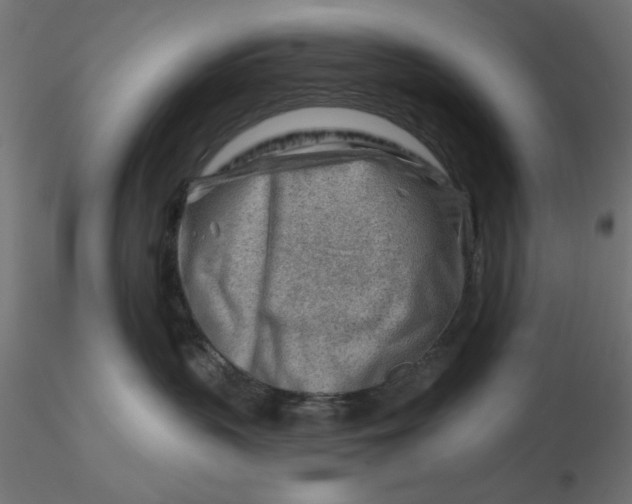 X0000116670383200912291703