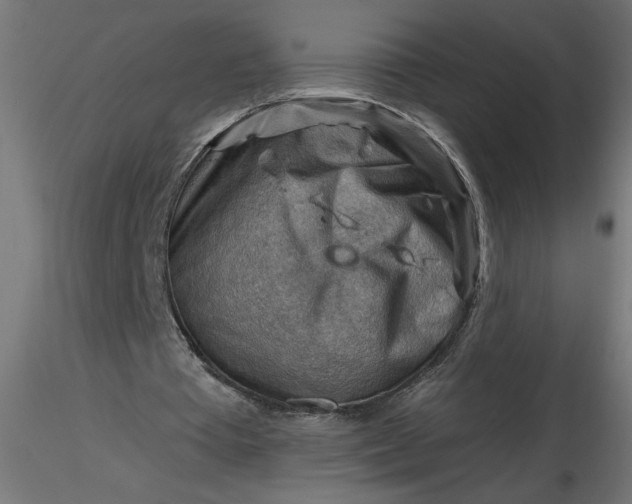 X0000116670385200912291703