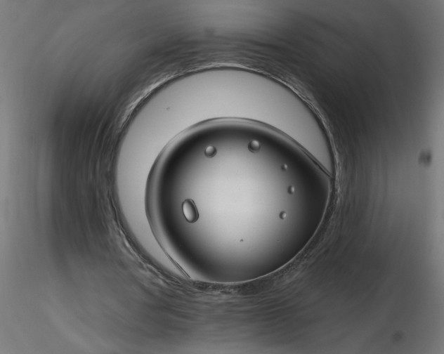 X0000116670386200912291703