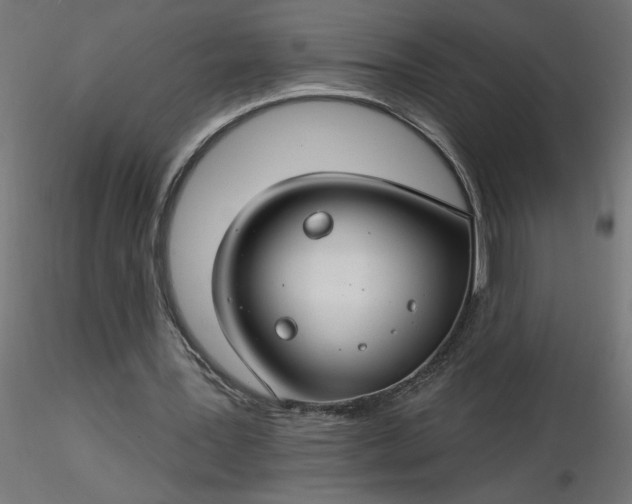 X0000116670387200912291703