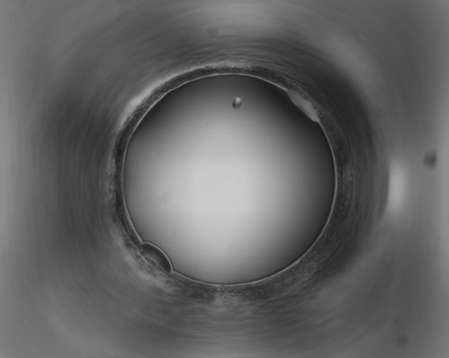 X0000116670388200912291703