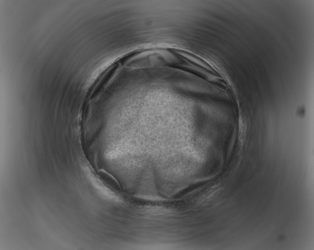 X0000116670389200912291703